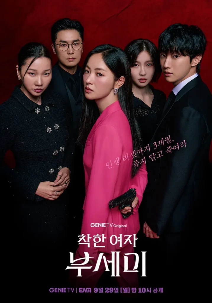 Ms. Incognito S01 Kdrama